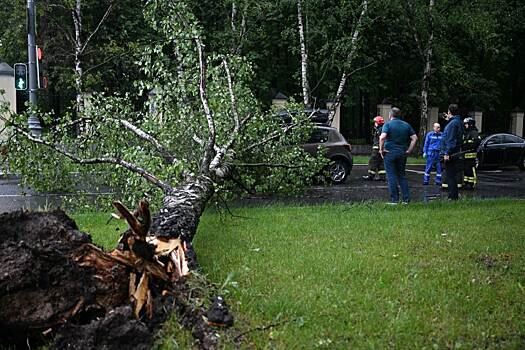 Страховщики озвучили суммы выплат по каско за падение предметов на машины