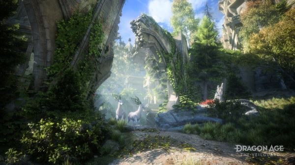 Разработчики Dragon Age: The Veilguard рассказали об особенностях снаряжения и брони